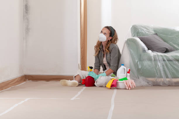 Reliable Commercial Mold Remediation contractor in Berkeley, IL by WQB Mold Removal